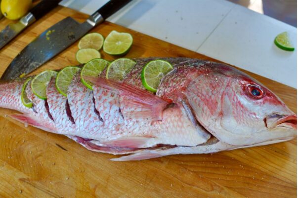 Is red snapper a good fish to eat