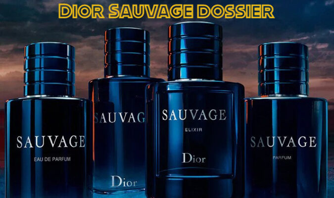 Dior Sauvage Dossier.co: Is it Worth Buying?