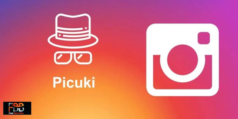 Comprehensive Guide to Using Picuki for Instagram